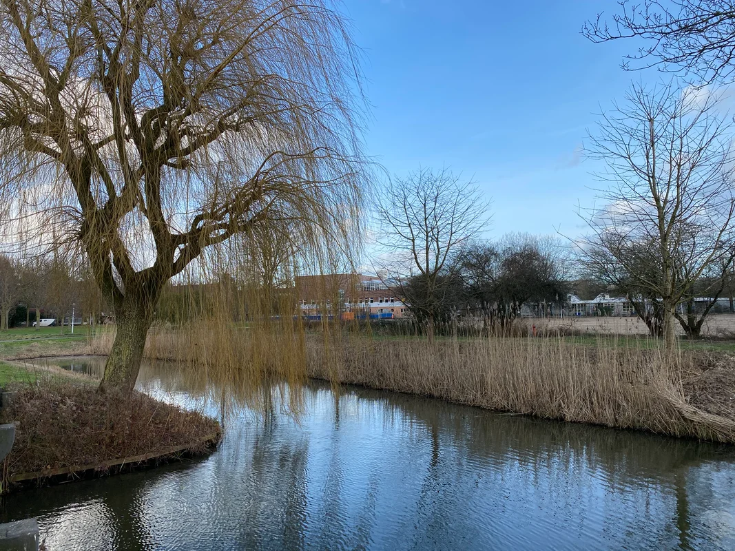 Gein; de groene woonbuurt van Amsterdam Zuidoost