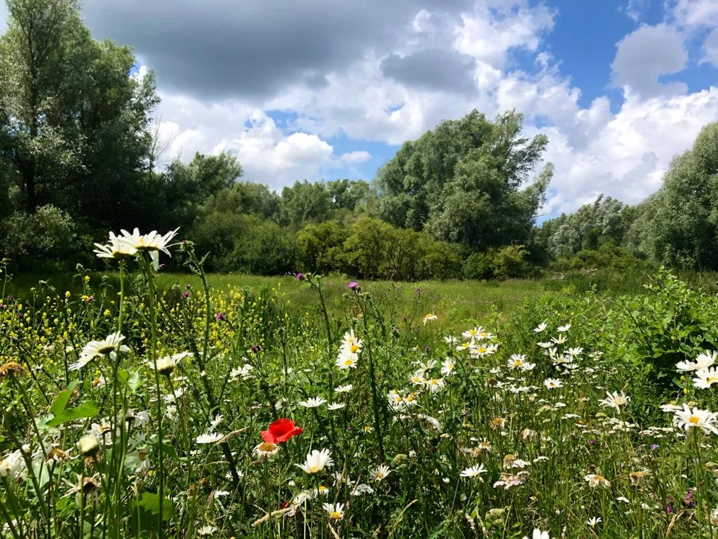Wandelroute Gein op zijn mooist