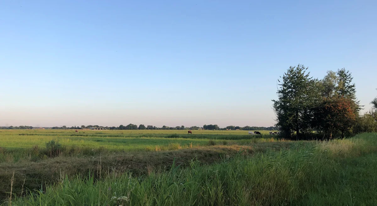 Heerlijk wandelen in Reigersbos